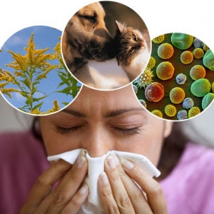 Коррекция аллергии
